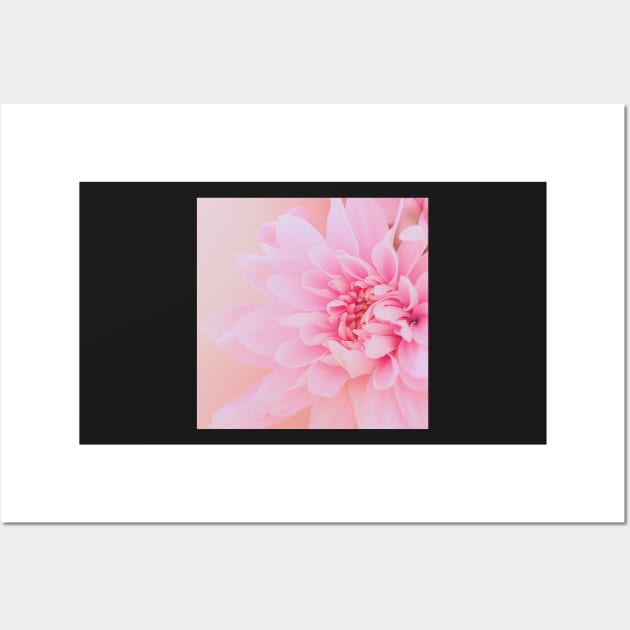 Calm Delicate Pink Flower Wall Art by Felicity-K